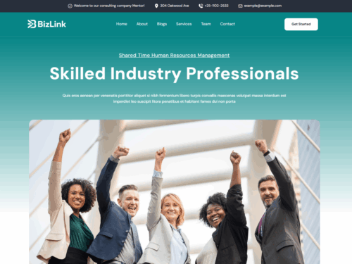 BizLink